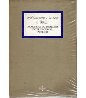 Prácticas de Derecho Internacional Público