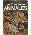 Las crías de los animales