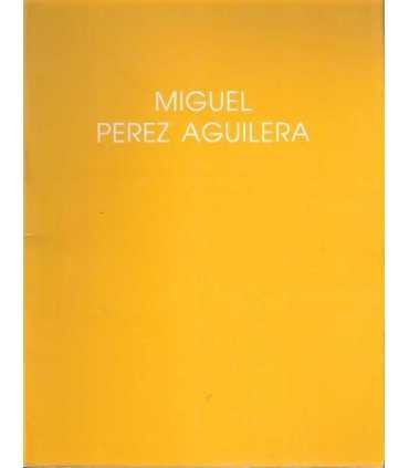 Miguel Pérez Aguilera exposición en la Madraza y Hospital Real