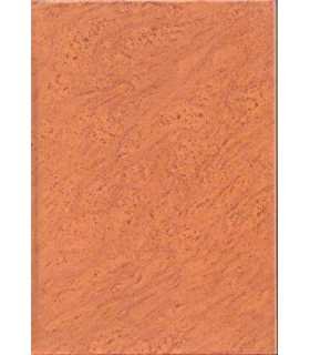 Nueva enciclopedia del mundo. Cartografía