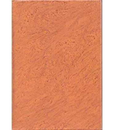 Nueva enciclopedia del mundo. Cartografía