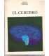 El cerebro