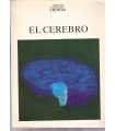El cerebro