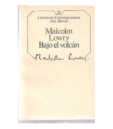 Bajo el volcán