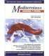 Mediterráneo. Memoria y Utopía vol. I-2
