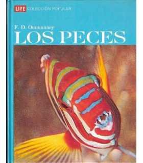 Los Peces