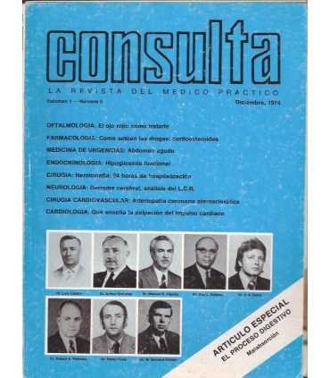 Consulta, vol 1- número 3.