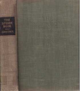 The spider book
