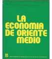 La economía de Oriente Medio