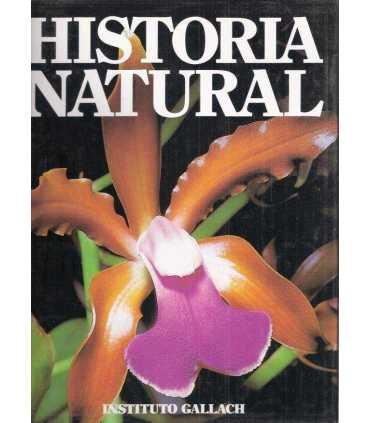 Historia natural, 7: Botánica