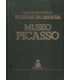 Grandes pinacotecas. Museos de España: Museo Picas