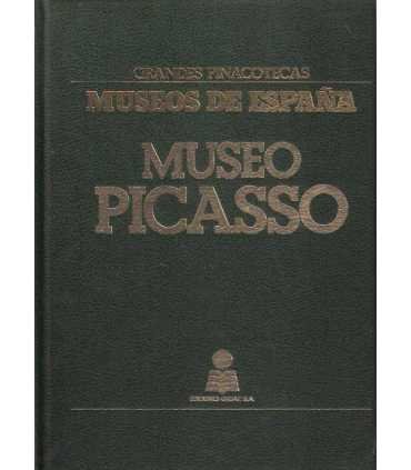 Grandes pinacotecas. Museos de España: Museo Picas