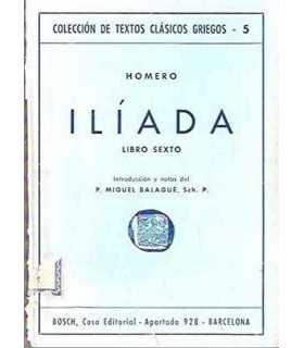 Ilíada, libro sexto