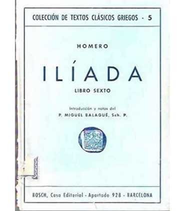 Ilíada, libro sexto
