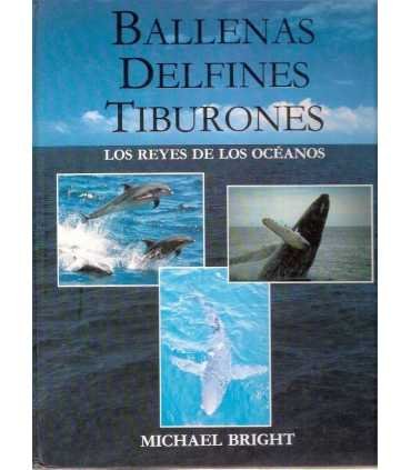 Ballenas, delfines, tiburones. los reyes de los oc