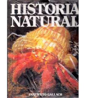 Historia Natural, 6: Invertebrados