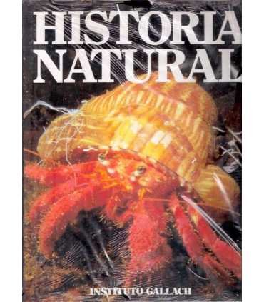 Historia Natural, 6: Invertebrados
