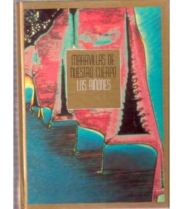 Maravillas de nuestro cuerpo: Los riñones