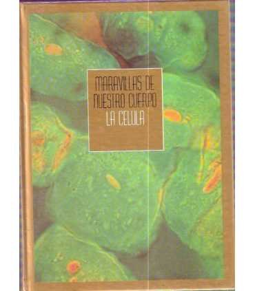 Maravillas de nuestro cuerpo: La célula