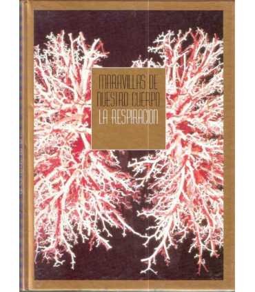 Maravillas de nuestro cuerpo: La respiración
