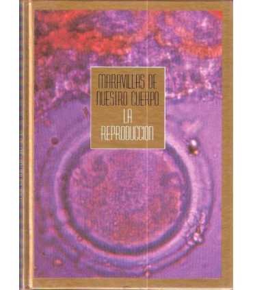 Maravillas de nuestro cuerpo: La reproducción