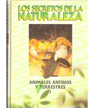 Animales anfibios y terrestres I y II.
