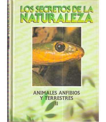 Animales anfibios y terrestres II.