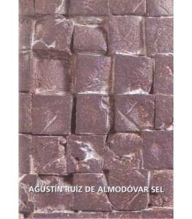 Agustín Ruiz de Almodóvar Sel