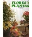 Flores y plantas en casa