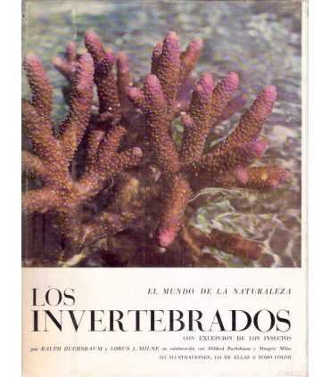 Los invertebrados, con excepción de los insectos