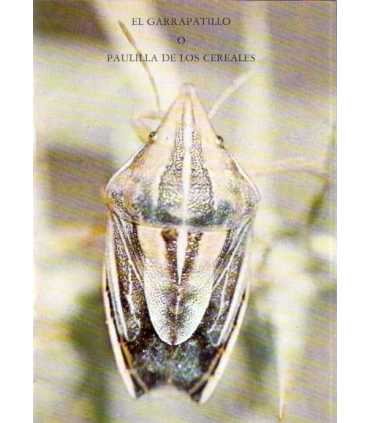 El Garrapatillo o Paulilla de los cereales