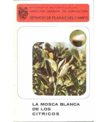 La mosca blanca de los cítricos