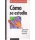 Cómo se estudia. La organización del trabajo intel