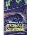 Aprendizaje sentimental