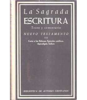 La Sagrada Escritura. Texto y comentario. Nuevo Te
