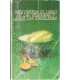 El Libro de las verduras y las ensaladas