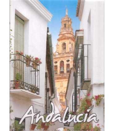 Andalucía. El medio natural. Historia. Personajes.