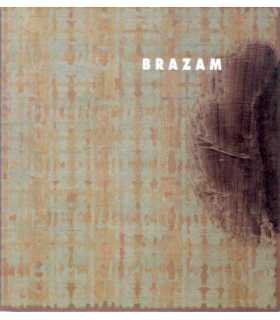 Brazam. Evocación de la Transparencia 1993-1995.