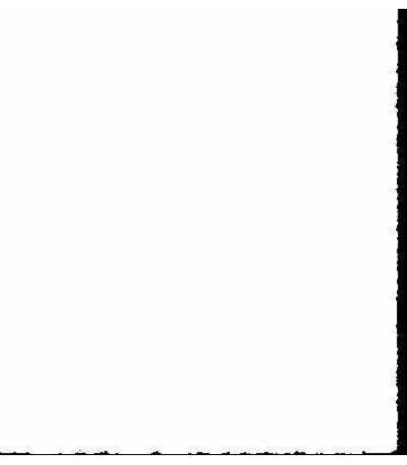 Propuestas del Grupo Q