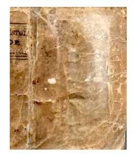 Epistolarum ad Familiaris, libri XVI