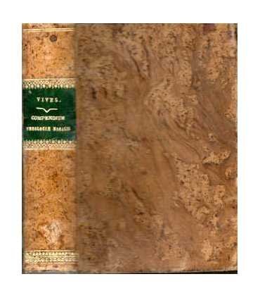 Compendium Theologiae Mariae Beatae virgini Dicatu