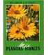 Mis amigas las flores. Plantas vivaces