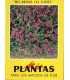 Mis amigas las flores. Plantas para los macizos de