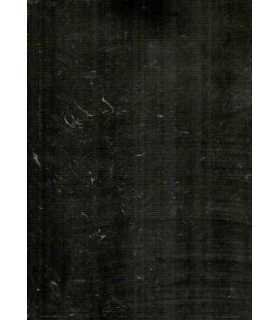 La imagen. El animal