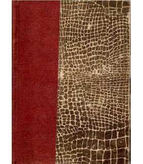 Manual práctico de Legislación militar