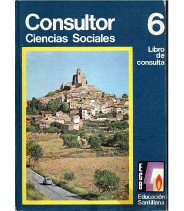 Consultor Ciencias Sociales, Nivel 6. EGB, segunda