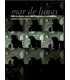 Mar de lunas. Federico García Lorca. Una filmograf