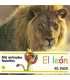 Mis animales favoritos, 1: El león