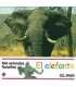 Mis animales favoritos, 5: El elefante