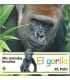 Mis animales favoritos, 10: El gorila